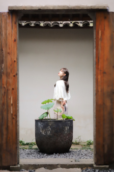 白领公寓 电视剧